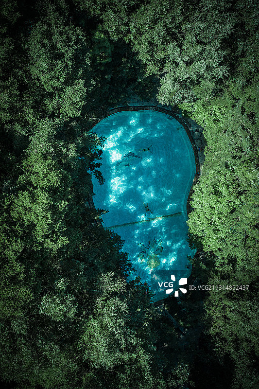 在上帝的脚印下畅泳图片素材