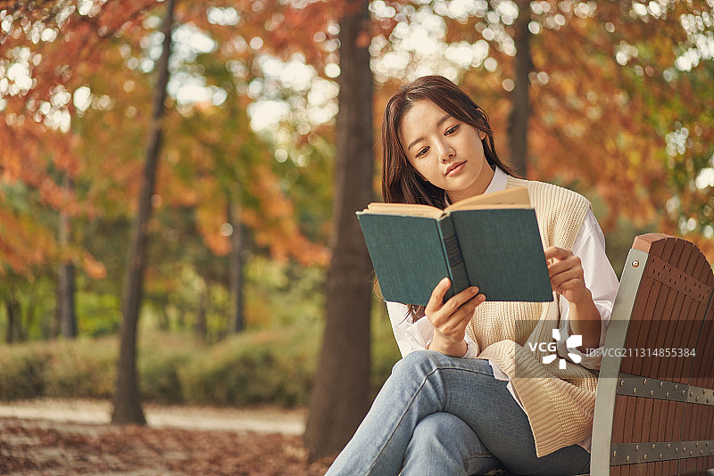 秋季，休息，放松，阅读，书籍，学习图片素材