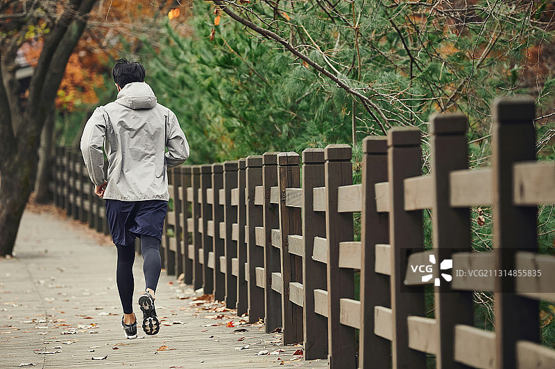 男人，锻炼，公路，跑步图片素材