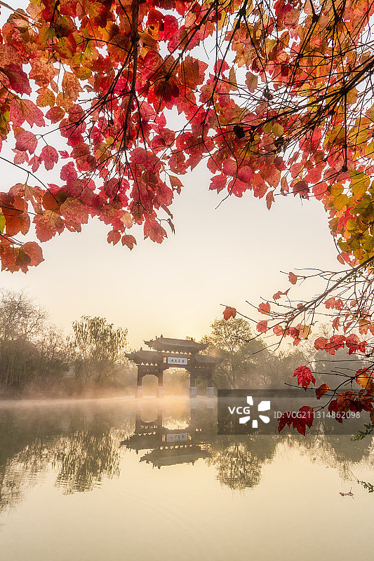 湖上秋色图片素材