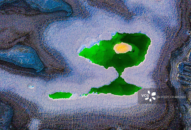 碧绿精灵图片素材