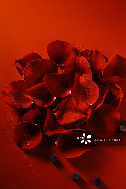 散落一簇的红玫瑰花瓣图片素材