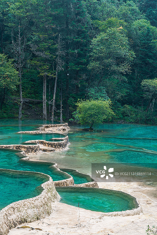 四川，黄龙，山谷，五彩池，夏天，阴天图片素材