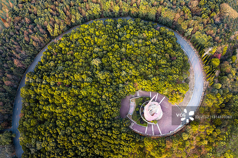 航拍螺旋森林公园垂直画面图片素材