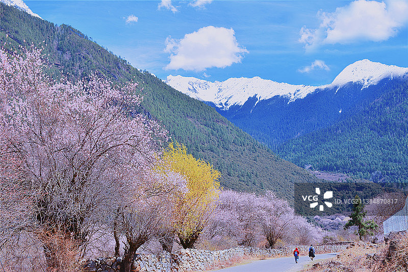 春到林芝图片素材