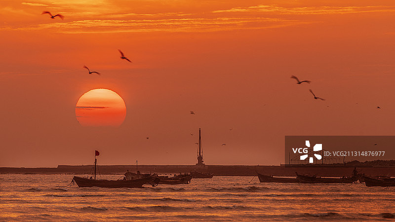 朝阳下的港湾图片素材