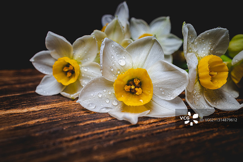 凌波仙子图片素材