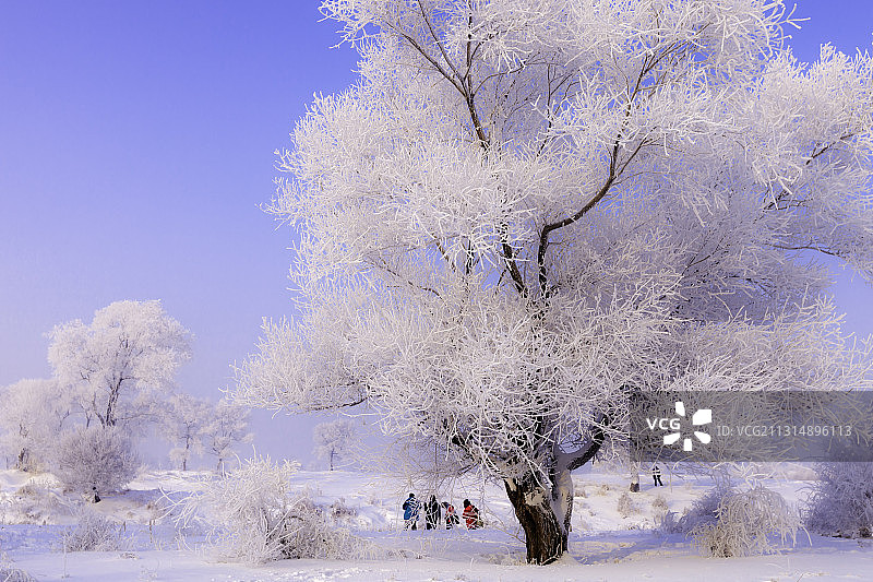 雾凇岛景色图片素材