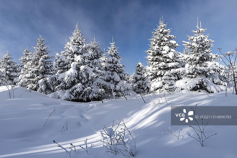 北国风光图片素材