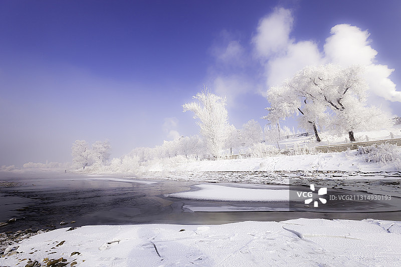 寒江玉树琼花开图片素材