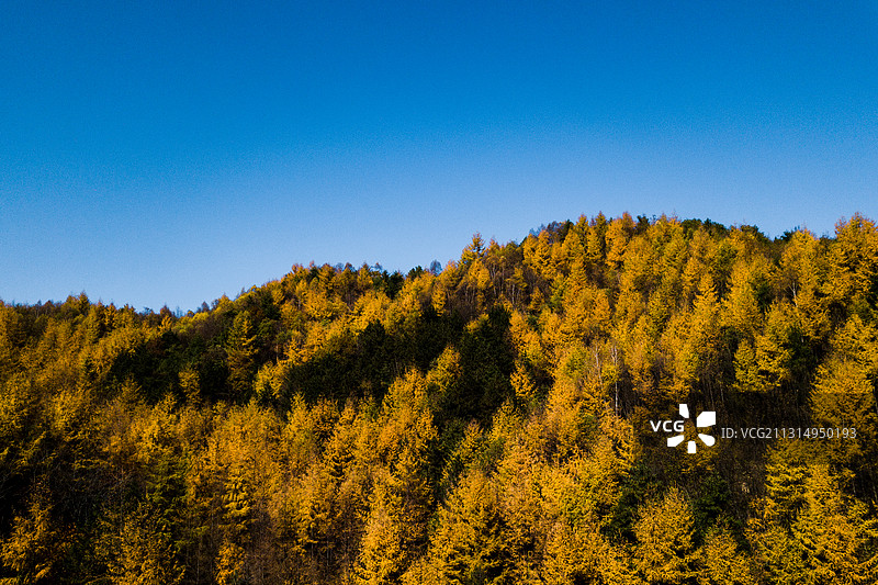 黄柏塬秋景图片素材