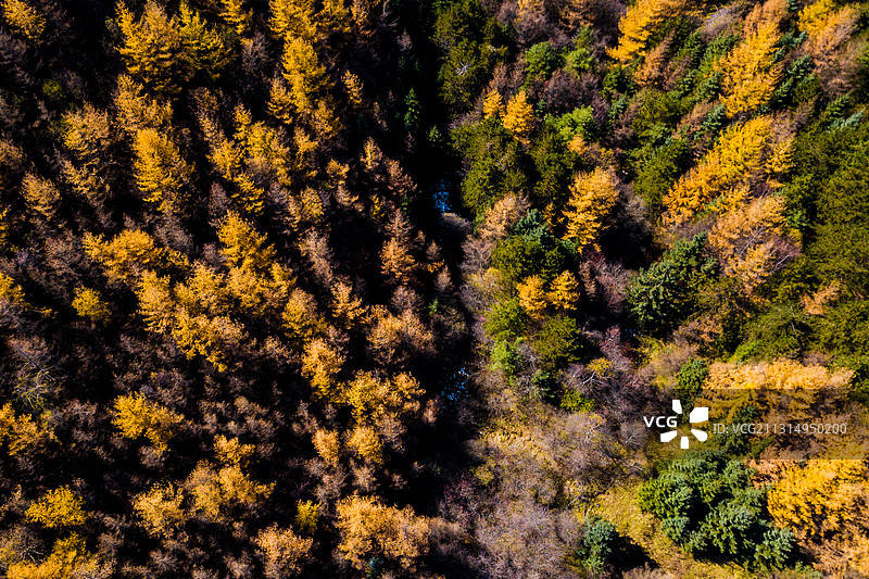黄柏塬秋景图片素材
