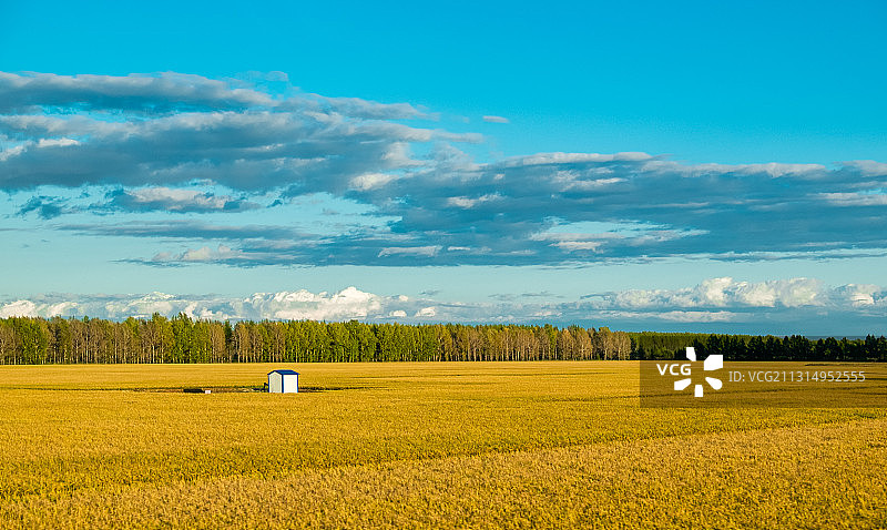 中国粮仓——北大荒图片素材