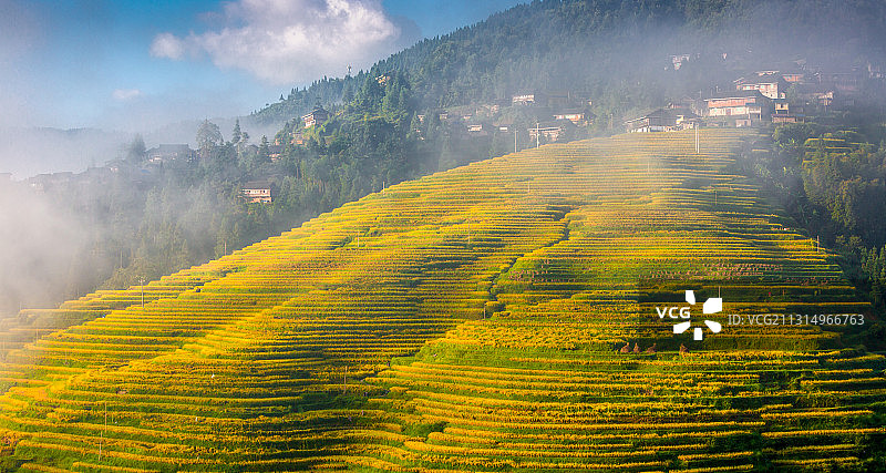 金秋加榜梯田图片素材
