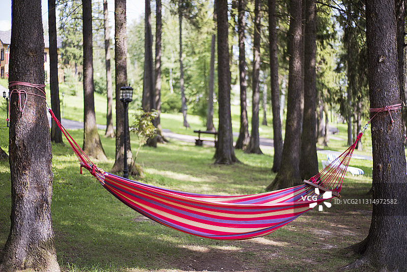 森林中的吊床图片素材