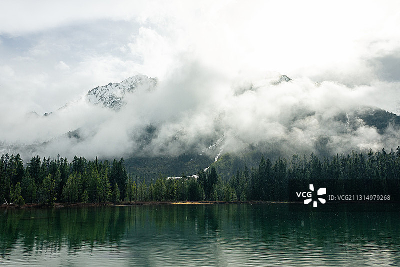 美国怀俄明州大提顿峰湖畔树木的风景图片素材