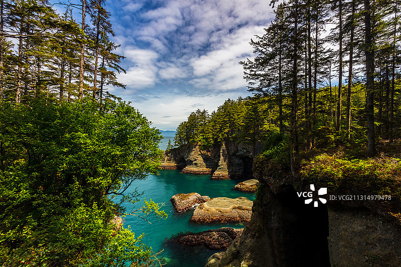 华盛顿州弗拉特里角森林中树木环绕的河流美景图片素材
