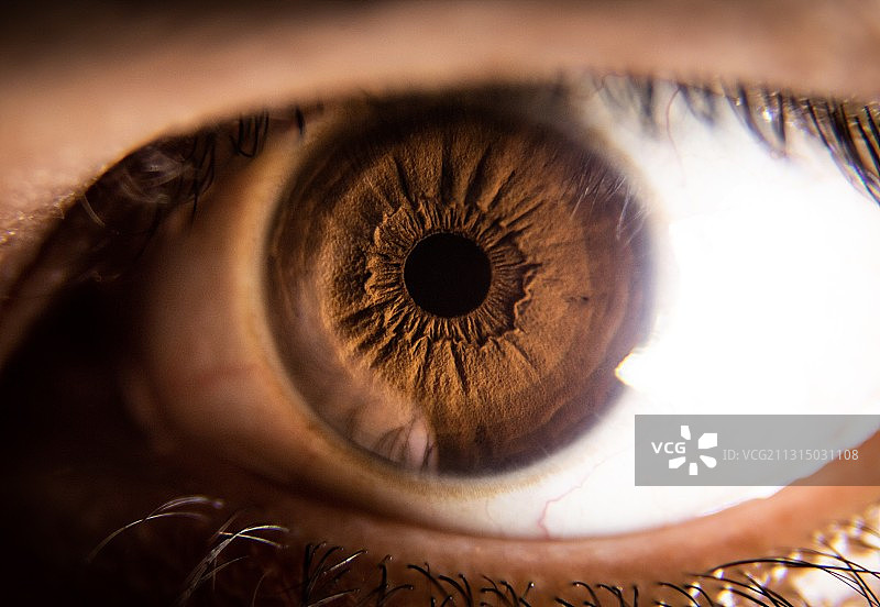 人眼的特写镜头图片素材