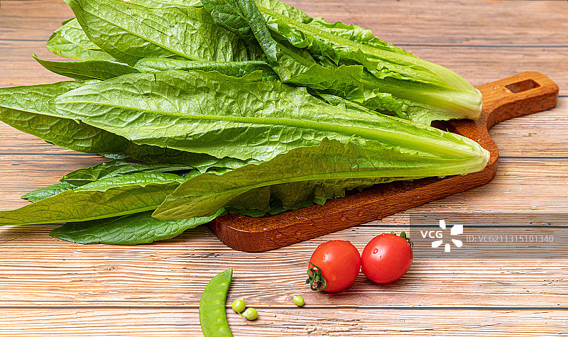 绿色青菜图片素材