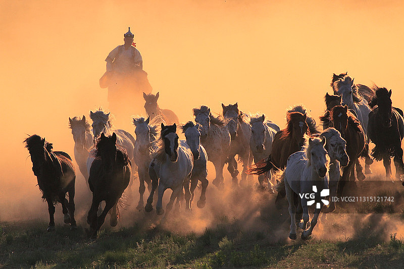 纵马驰骋图片素材
