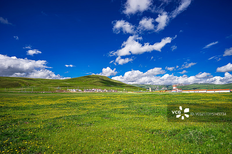 候鸟的天堂-甘南尕海湖图片素材