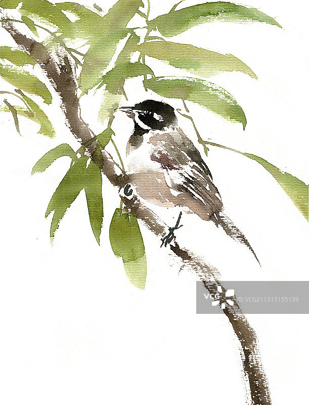 绿叶中的小鸟图片素材