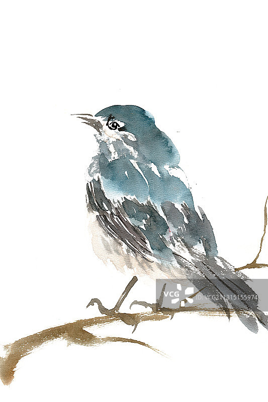 栖息的小鸟图片素材