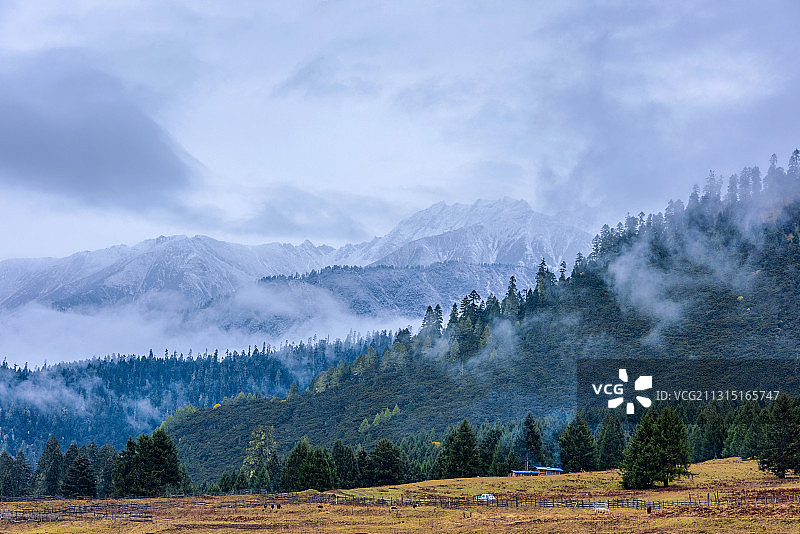中国西藏林芝鲁朗扎西岗村远望加拉白垒雪山图片素材