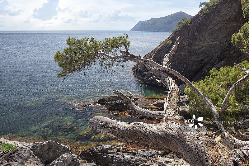 西班牙加泰罗尼亚布拉瓦海岸克雷乌斯角卡拉琼科尔斯湾图片素材