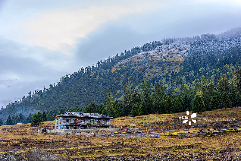 中国西藏林芝鲁朗扎西岗村秋景图片素材