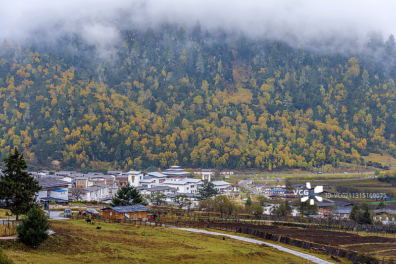 中国西藏林芝鲁朗扎西岗村秋景图片素材