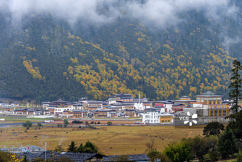 中国西藏林芝鲁朗扎西岗村秋景图片素材