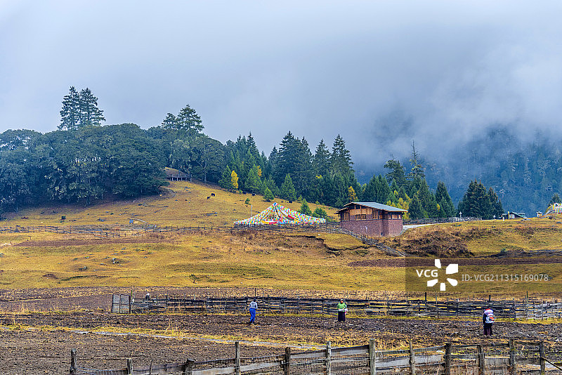 中国西藏林芝鲁朗扎西岗村秋景图片素材