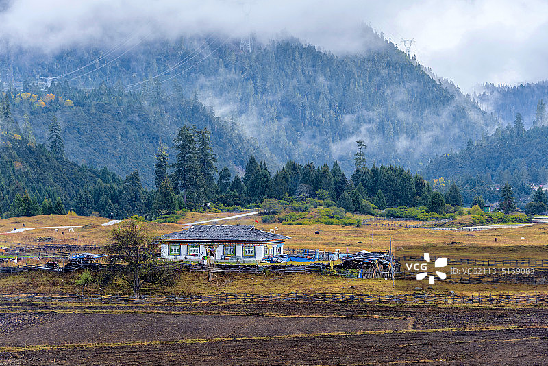 中国西藏林芝鲁朗扎西岗村秋景图片素材