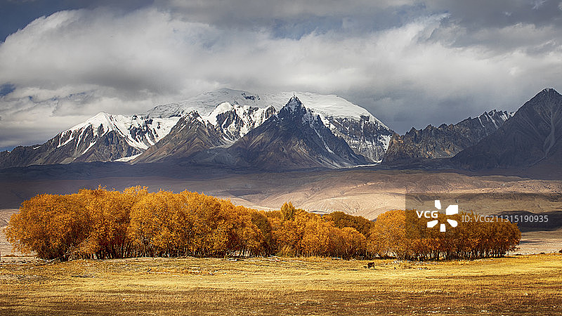 金秋帕米尔高原雪山之父昆仑山慕士塔格峰图片素材