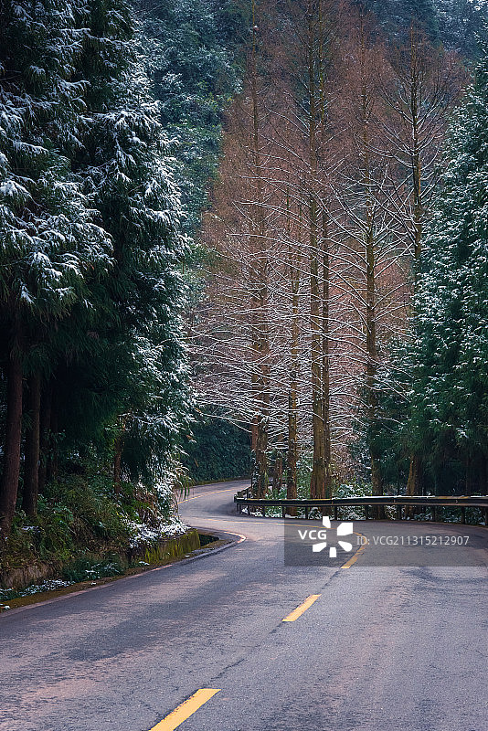 秋冬之路图片素材