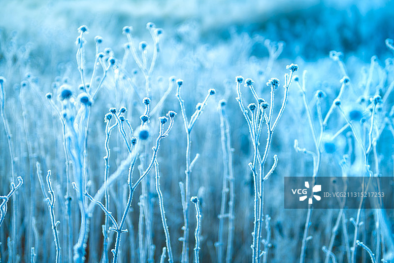 辽宁大连-瓦房店-雾凇图片素材