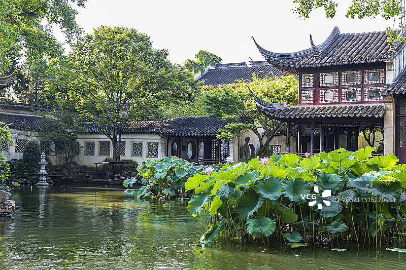 苏州园林，留园夏季风光图片素材