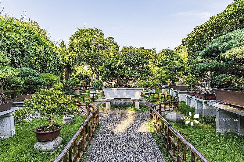 苏州园林，留园夏季风光图片素材