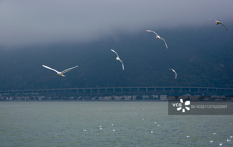山水公路云雾海鸥图片素材