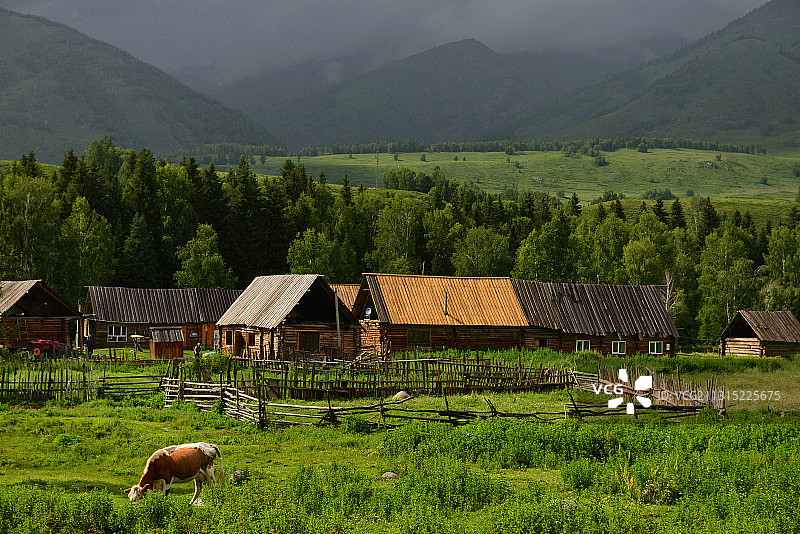 夏天的禾木村图片素材