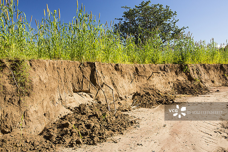 马拉维洪灾冲毁的玉米农田图片素材