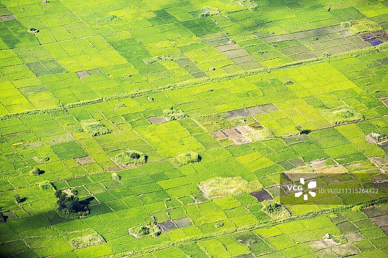 从空中俯瞰马拉维希雷河谷的稻田图片素材