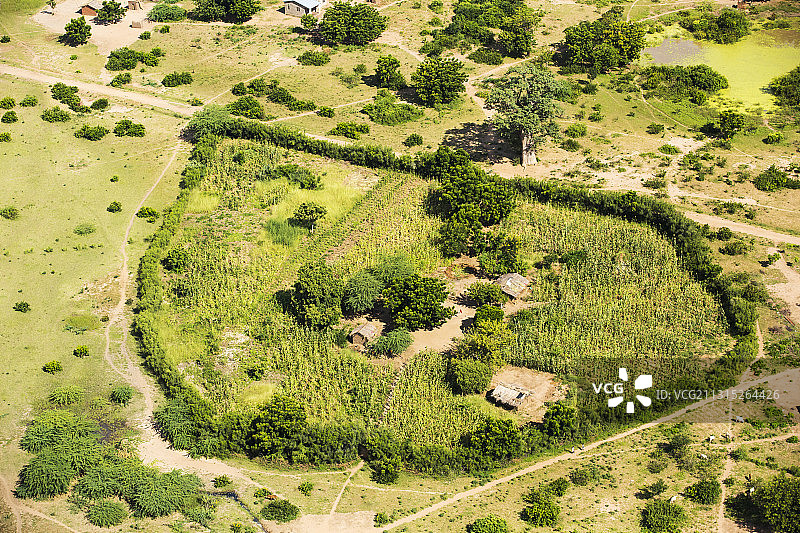 从空中俯瞰非洲马拉维希雷河谷的小型家庭农场图片素材