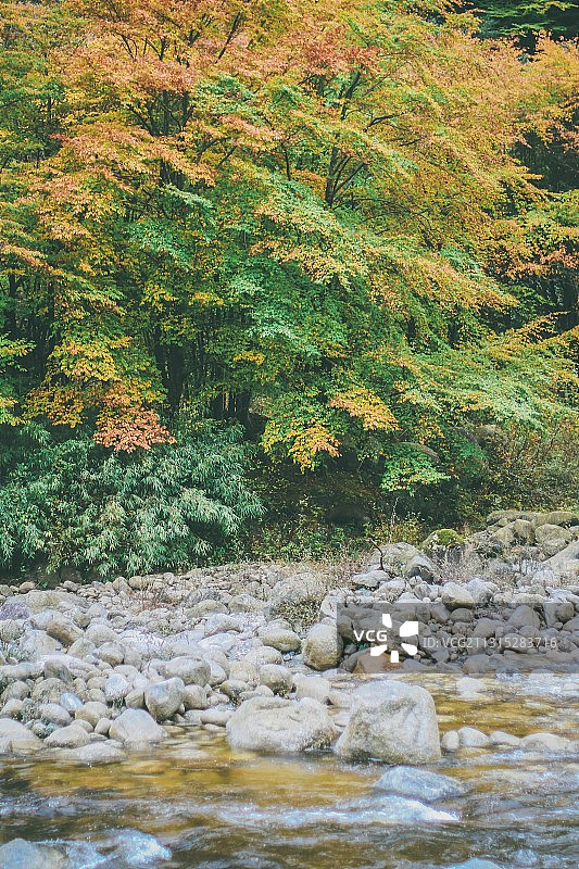 秋天的唐家河图片素材