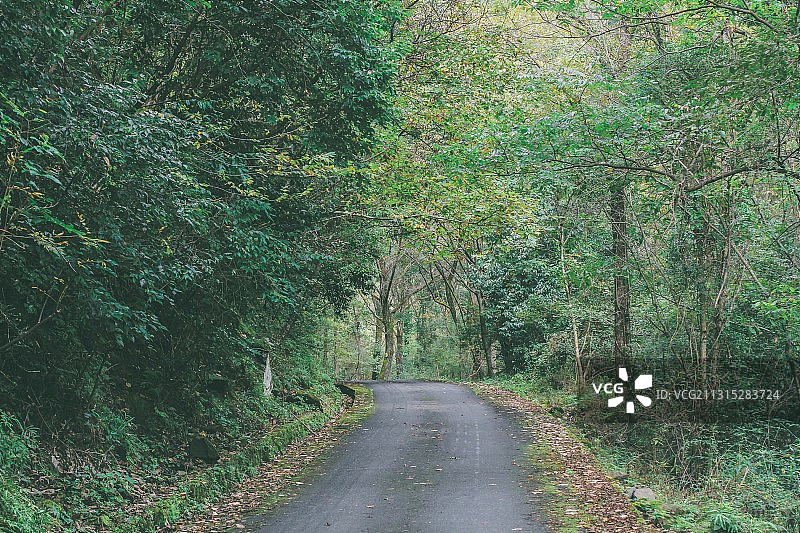 秋天的唐家河图片素材