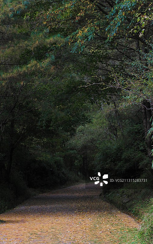 秋天的唐家河图片素材