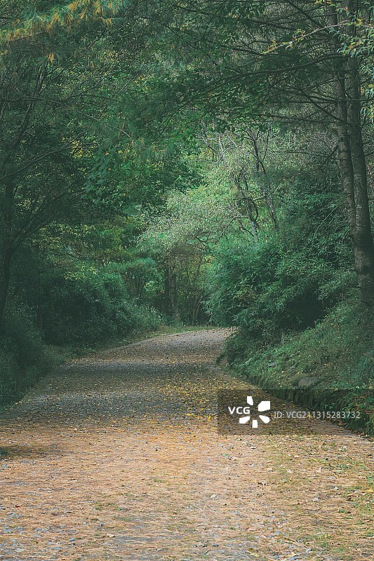 秋天的唐家河图片素材