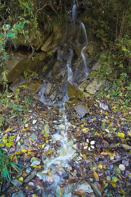 秋天的唐家河图片素材