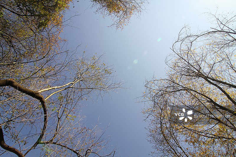 秋天的唐家河图片素材